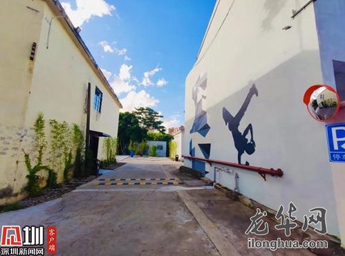 龍華發現 觀瀾舊廠房 變身 文創新坐標