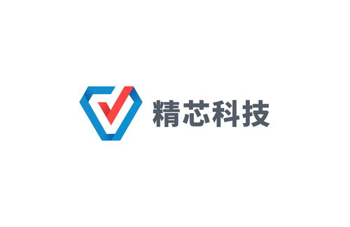 東莞精芯技術服務 以專業(yè)技術，驅動企業(yè)數字化轉型