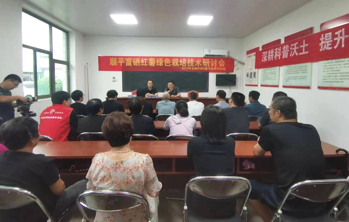 科技賦能促增收 中國(guó)農(nóng)業(yè)大學(xué)專家赴順平縣指導(dǎo)富硒紅薯種植新技術(shù)